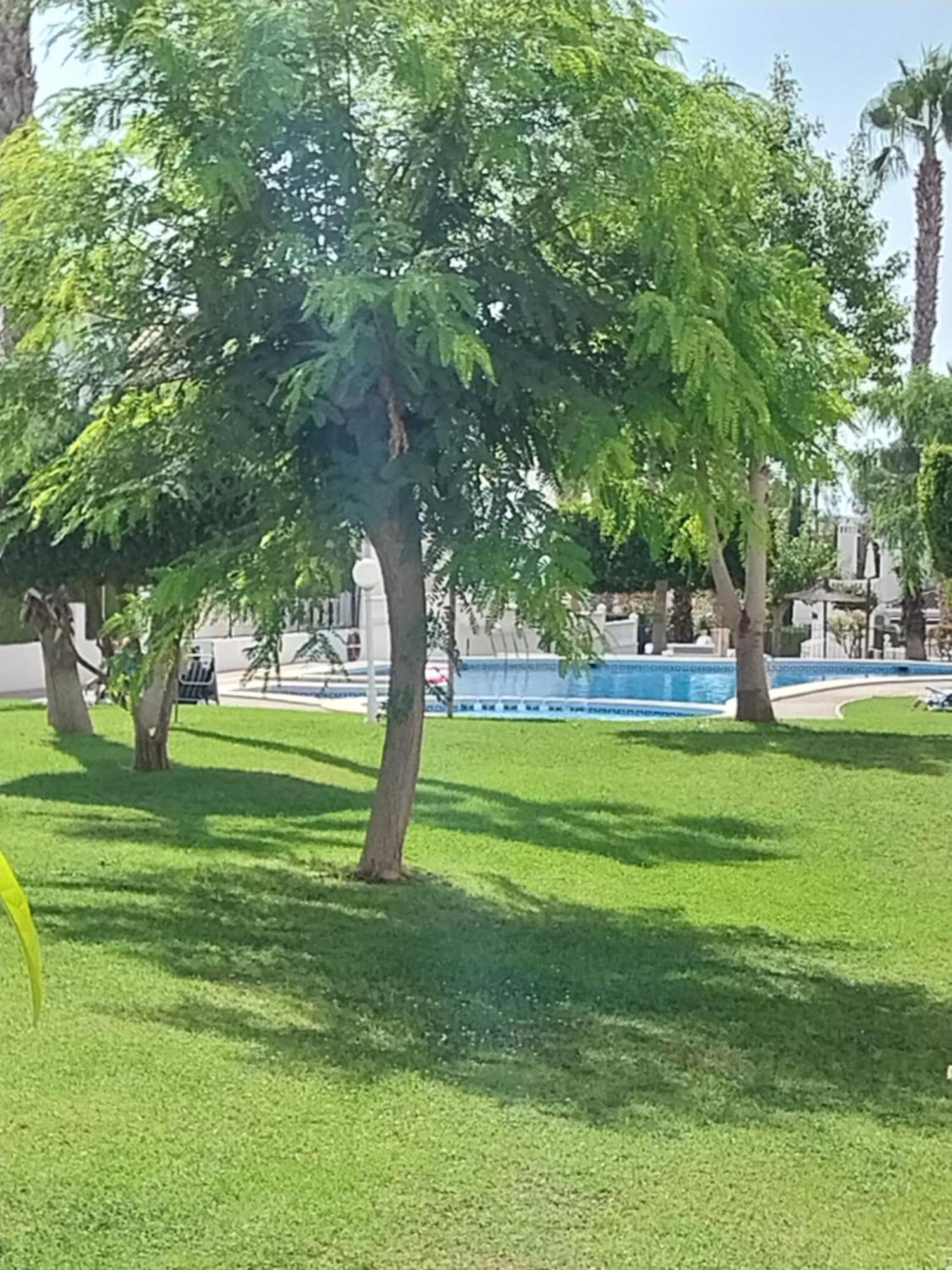 Charming Apartment In Front Of Villamartin Golf And Plaza Villamartin (Valencia) Exterior foto